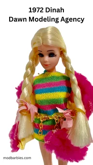 1972 Dinah from Dawn doll modeling agency