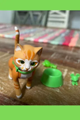 The Sunshine Family's pet cat