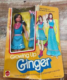 1976 Growing Up Ginger in box