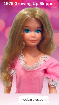 Vintage Barbie SKIPPER Doll Clothes Best Buy Dress rare floral peasant No  Doll